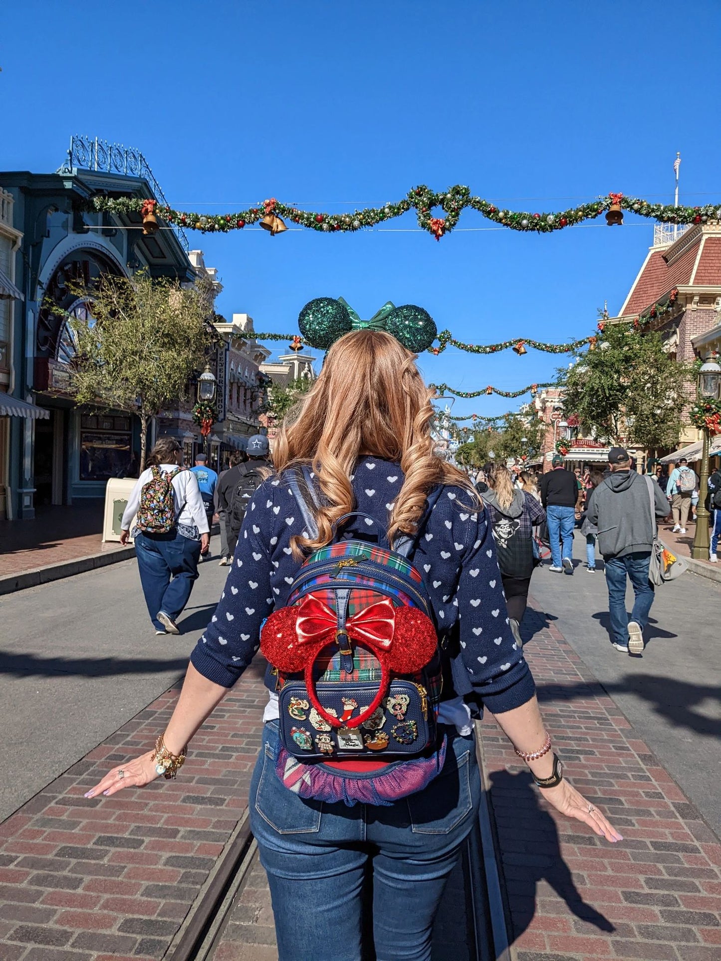 Rope Drop Backpack (The Plaid) with Schweitzer Hydration Kit and 10 Locking Pin Backs