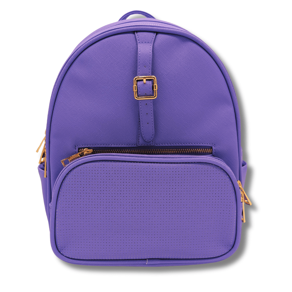 high park mini backpack Rope Drop Backpack
